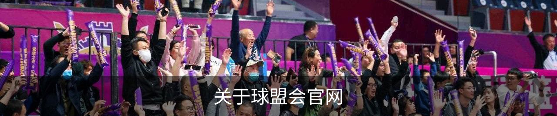 关于球盟会官网